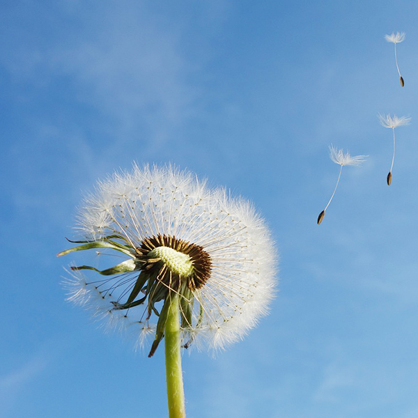 k8凯发官网(中国)天生赢家·一触即发